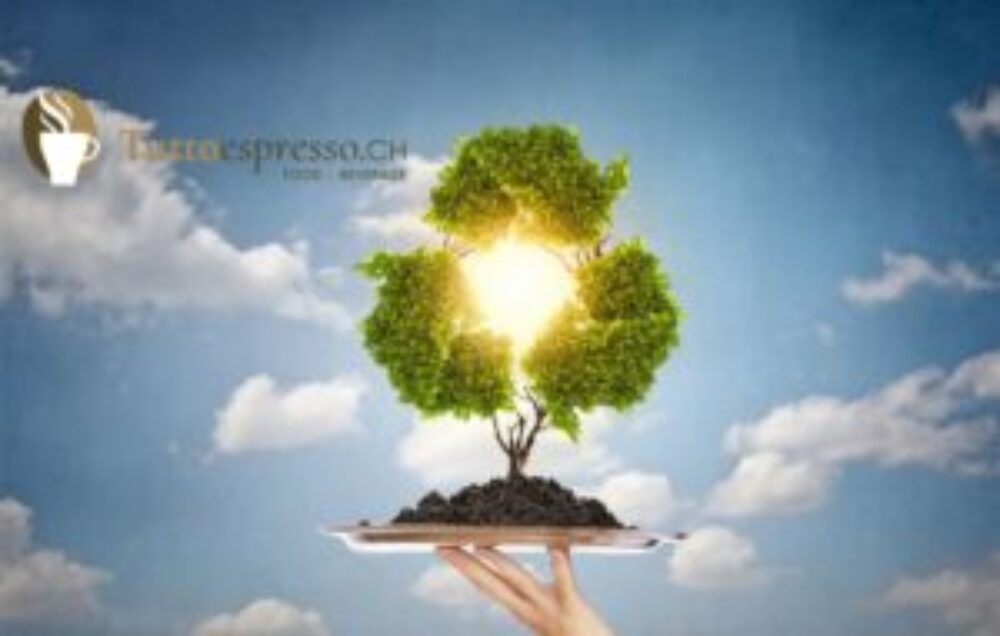 bicchieri Bio Tuttoespress Promozione Bicchieri Biologici Canton Ticino