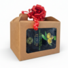 Gift Box Olio EVO BIO 3L e Olio Aromatizzato (Limone/Peperoncino)